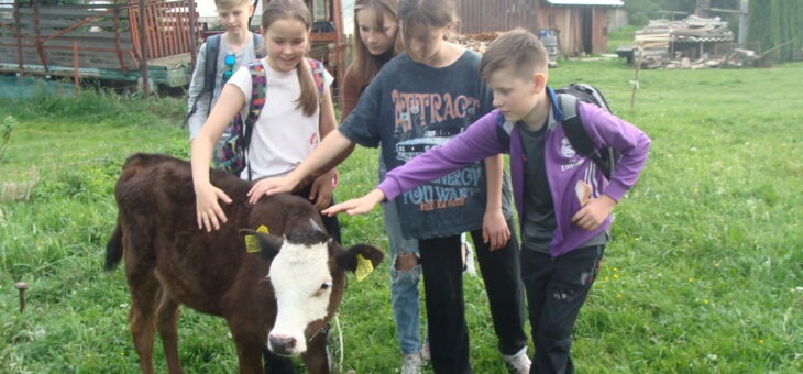 Nie ma nudy na dzielnicy. Majówka 2024 za nami